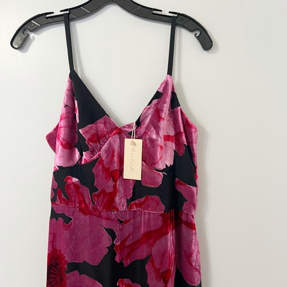 NWT Hutch Floral High Low Velvet Burnout Dress - Picture 4 of 8